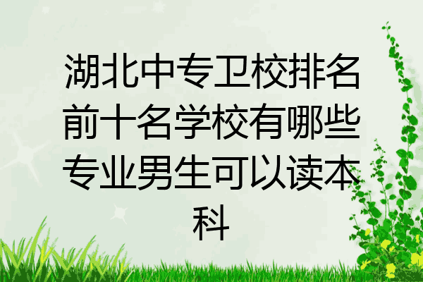 湖北中专卫校排名前十名学校有哪些专业男生可以读本科
