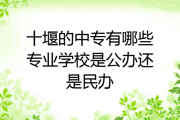 十堰的中专有哪些专业学校是公办还是民办