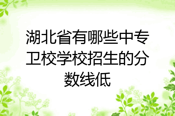 湖北省有哪些中专卫校学校招生的分数线低