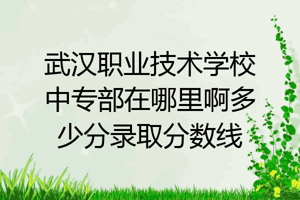 武汉职业技术学校中专部在哪里啊多少分录取分数线