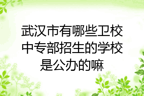 武汉市有哪些卫校中专部招生的学校是公办的嘛