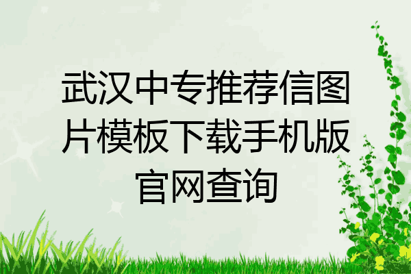 武汉中专推荐信图片模板下载手机版官网查询