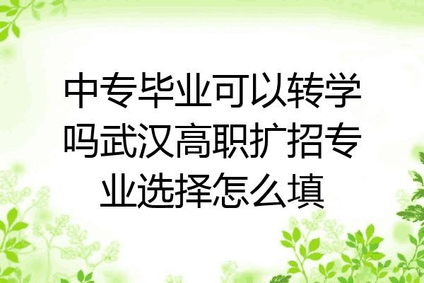中专毕业可以转学吗武汉高职扩招专业选择怎么填