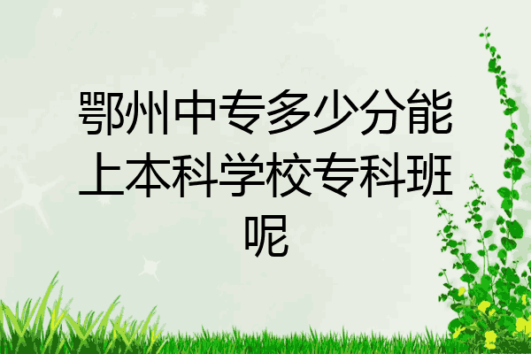 鄂州中专多少分能上本科学校专科班呢
