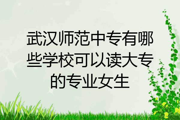 武汉师范中专有哪些学校可以读大专的专业女生
