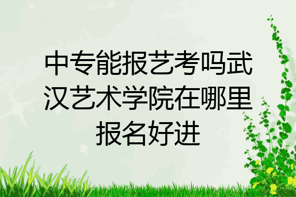 中专能报艺考吗武汉艺术学院在哪里报名好进
