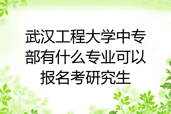 武汉工程大学中专部有什么专业可以报名考研究生