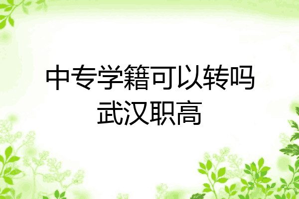 中专学籍可以转吗武汉职高