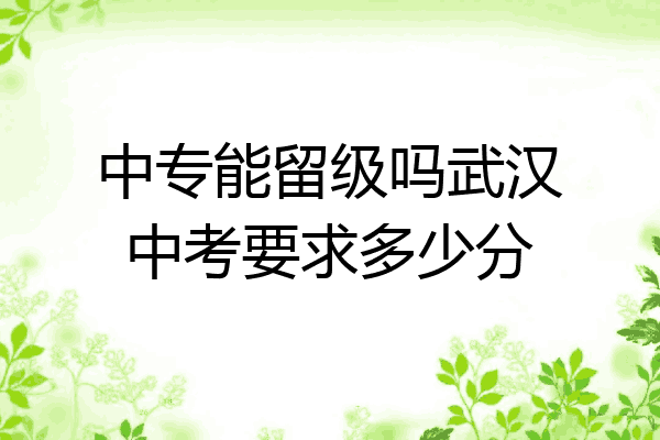 中专能留级吗武汉中考要求多少分