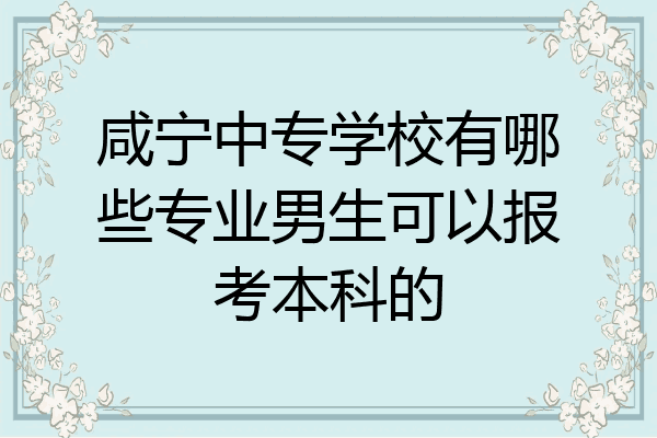 咸宁中专学校有哪些专业男生可以报考本科的