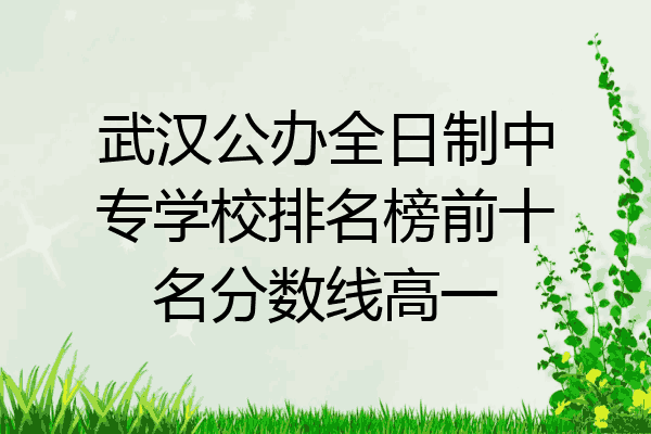 武汉公办全日制中专学校排名榜前十名分数线高一
