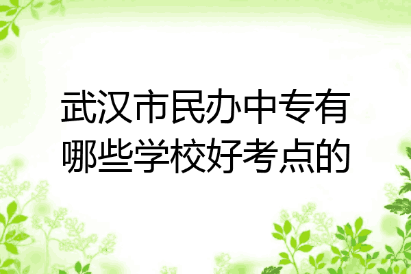 武汉市民办中专有哪些学校好考点的