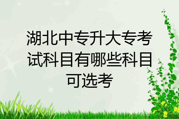 湖北中专升大专考试科目有哪些科目可选考
