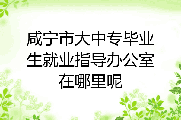 咸宁市大中专毕业生就业指导办公室在哪里呢
