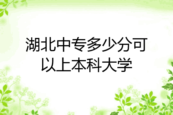 湖北中专多少分可以上本科大学