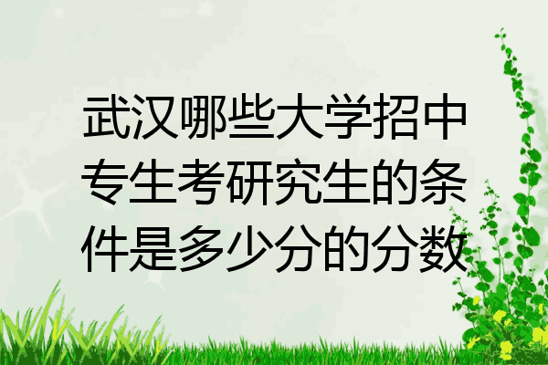 武汉哪些大学招中专生考研究生的条件是多少分的分数