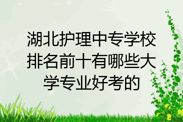 湖北护理中专学校排名前十有哪些大学专业好考的