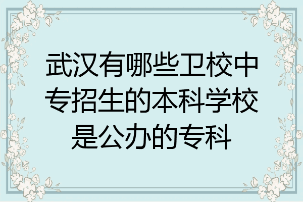 武汉有哪些卫校中专招生的本科学校是公办的专科