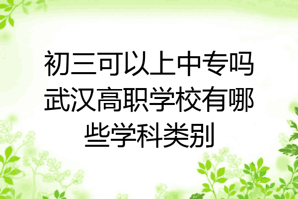 初三可以上中专吗武汉高职学校有哪些学科类别