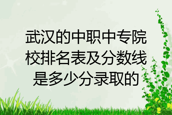 武汉的中职中专院校排名表及分数线是多少分录取的