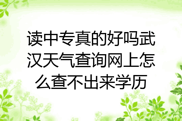 读中专真的好吗武汉天气查询网上怎么查不出来学历
