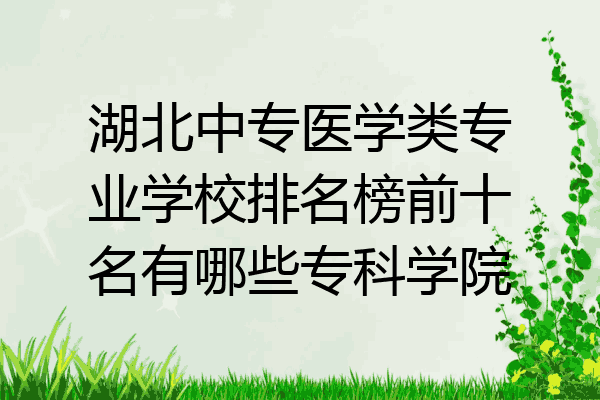 湖北中专医学类专业学校排名榜前十名有哪些专科学院