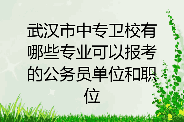 武汉市中专卫校有哪些专业可以报考的公务员单位和职位