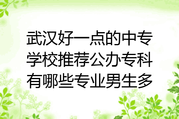 武汉好一点的中专学校推荐公办专科有哪些专业男生多