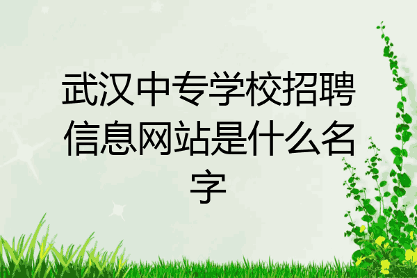 武汉中专学校招聘信息网站是什么名字