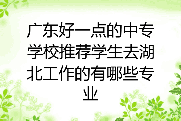 广东好一点的中专学校推荐学生去湖北工作的有哪些专业