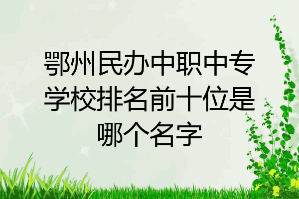 鄂州民办中职中专学校排名前十位是哪个名字