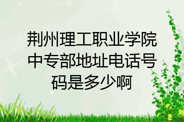 荆州理工职业学院中专部地址电话号码是多少啊