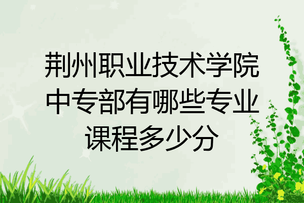 荆州职业技术学院中专部有哪些专业课程多少分