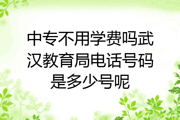中专不用学费吗武汉教育局电话号码是多少号呢