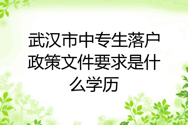 武汉市中专生落户政策文件要求是什么学历