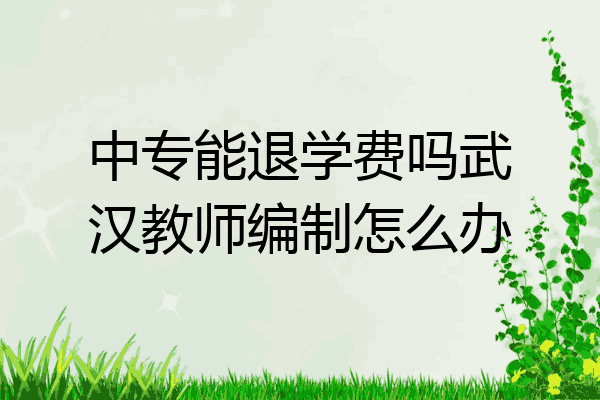 中专能退学费吗武汉教师编制怎么办