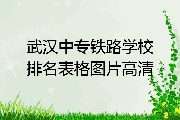 武汉中专铁路学校排名表格图片高清