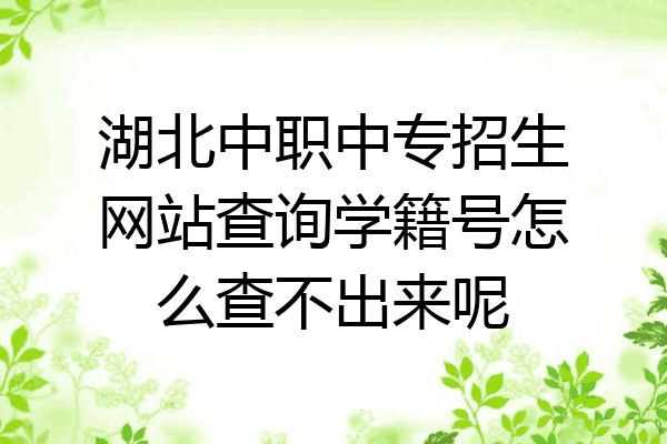 湖北中职中专招生网站查询学籍号怎么查不出来呢