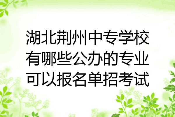 湖北荆州中专学校有哪些公办的专业可以报名单招考试