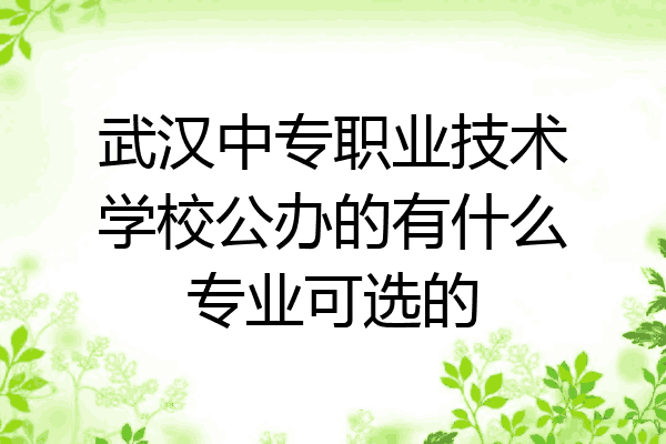 武汉中专职业技术学校公办的有什么专业可选的
