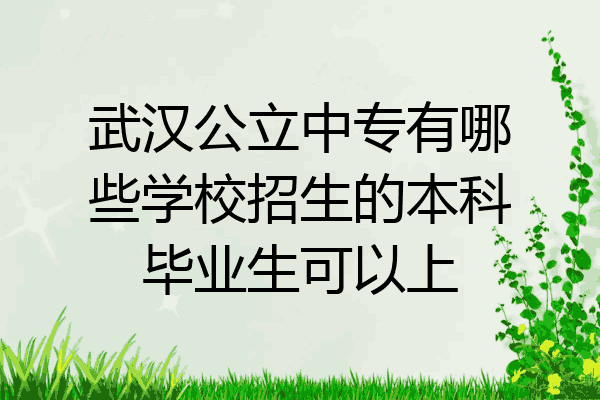 武汉公立中专有哪些学校招生的本科毕业生可以上