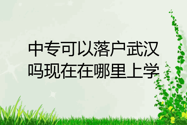 中专可以落户武汉吗现在在哪里上学