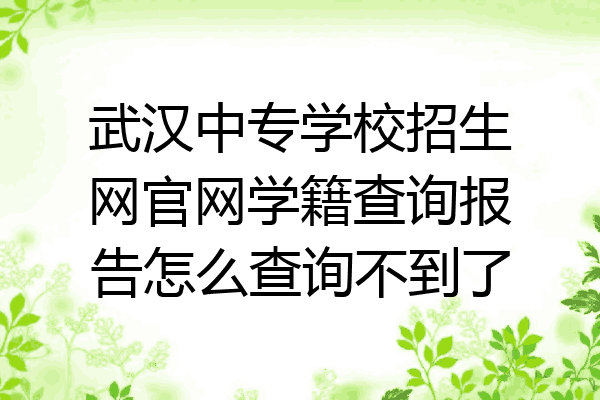 武汉中专学校招生网官网学籍查询报告怎么查询不到了