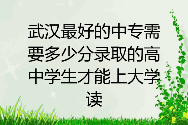 武汉最好的中专需要多少分录取的高中学生才能上大学读