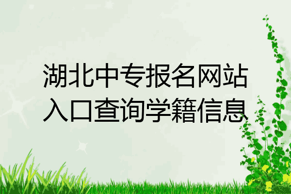 湖北中专报名网站入口查询学籍信息