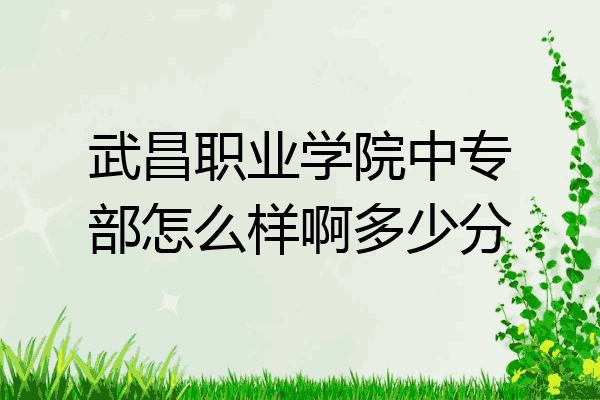 武昌职业学院中专部怎么样啊多少分
