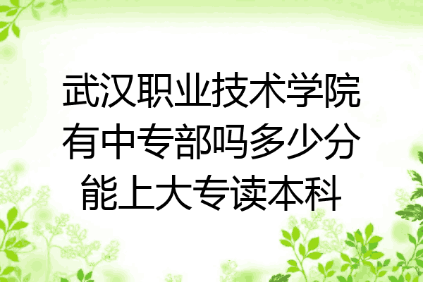 武汉职业技术学院有中专部吗多少分能上大专读本科