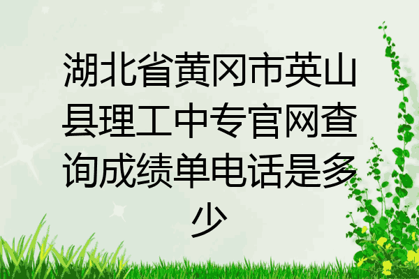 湖北省黄冈市英山县理工中专官网查询成绩单电话是多少