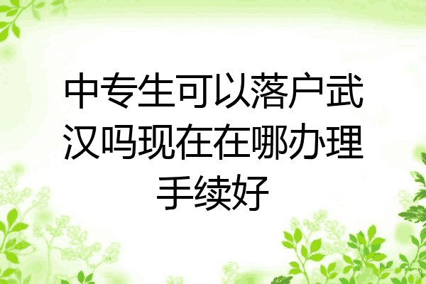中专生可以落户武汉吗现在在哪办理手续好