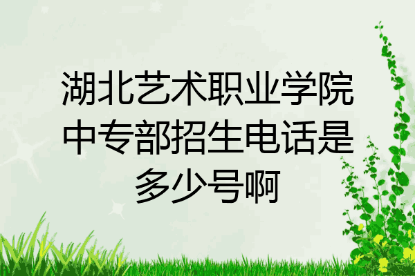 湖北艺术职业学院中专部招生电话是多少号啊